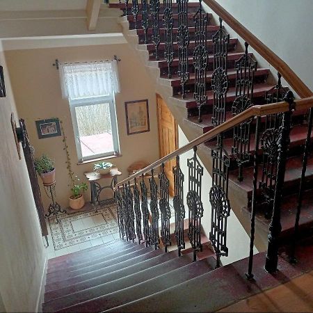 Villa Rosenberg Mariańskie Łaźnie Zewnętrze zdjęcie
