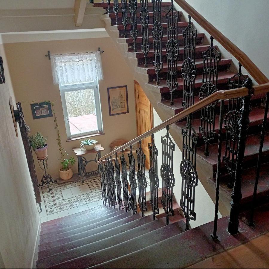 Villa Rosenberg Mariańskie Łaźnie Zewnętrze zdjęcie